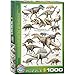 EuroGraphics - Rompecabezas Dinosaurios, 1000 Piezas (EG60000098)
