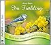 Produktbild Im Frühling - Sanfte Musik zum Entspannen und Wohlfühlen (Entspannungsmusik)