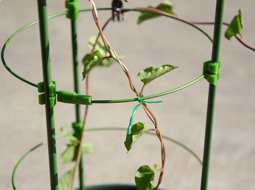 Amazon | HJ 園芸支柱 支柱パーツ 観葉支柱 鉢植え 観葉支柱 フラワー