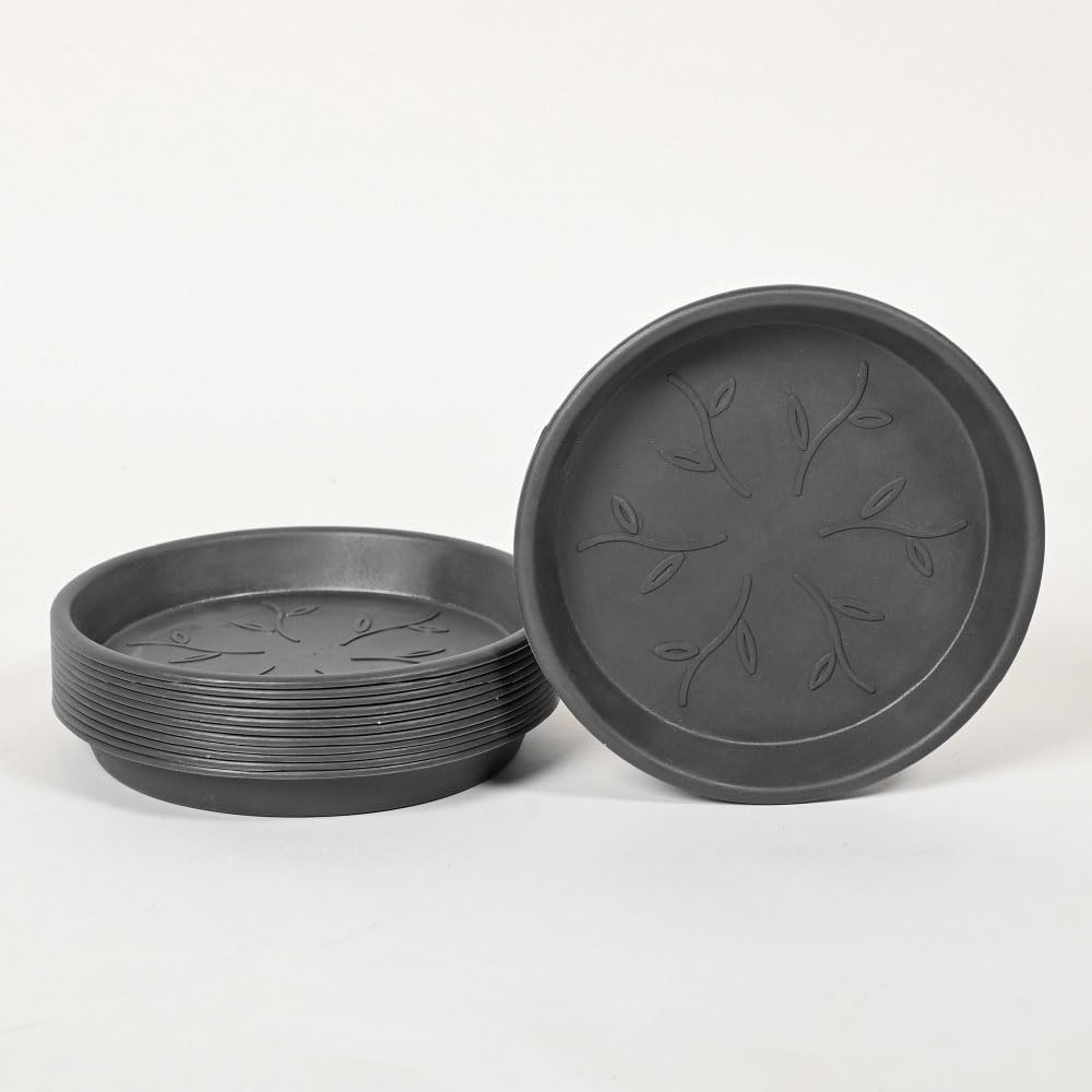 Ugaoo Plant Saucers - Protect Pots & Surfaces -8