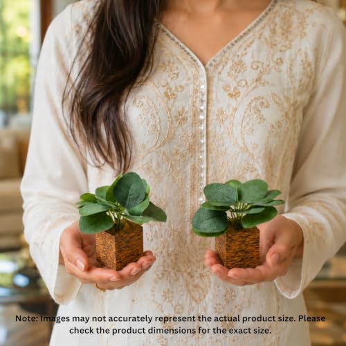 Image of DecoreBugs Artificial Real Touch Flower Plant with Pot (Pack of 2), 16 cm Height, Decorative Faux Floral Plant for Home, Office, Living Room, Bedroom, Table & Shelf Decor