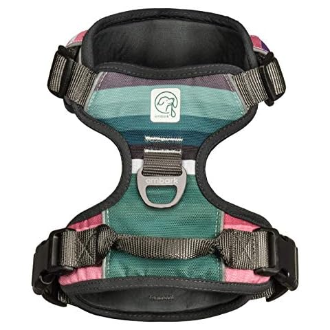 Embark Urban Dog Harness, Easy On and Off with Front and Back Leash Attachments & Control Handle - No Pull Training, Size Adjustable and Non Choke (Small, Baja) Cover