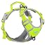 Neon Green