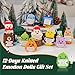 Verdenu 12PCS Positive Crochet Gift Set, Christmas Advent Calendar 2025-Emotional Support Crochet Advent Calendar for Adults, Christmas Gifts for Women/Men/Teens, Cozy Crochet Characters