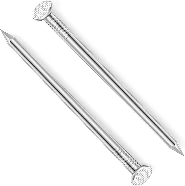 Emily Nagels 5 Inch Stainless Steel Hardware Nails - 20 Pack for Woodworking