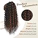 AISI BEAUTY Curly Drawstring Ponytail Hair Extension for Women 20 Inch Natural Looking Synthetic Clip in Ponytail Extension for Daily Party Use(Black with Brown Highlights)
