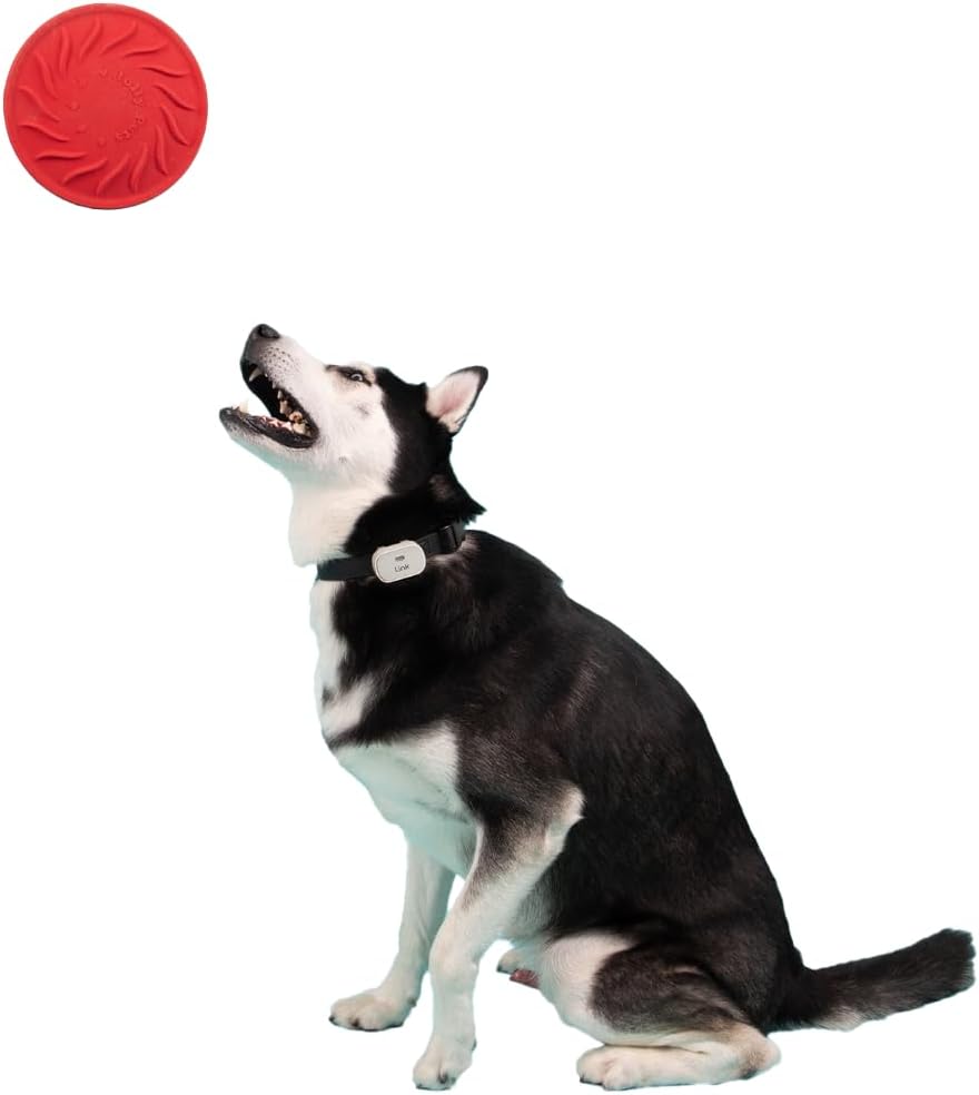 Tuff Range; Tuff Flyer; 8.5" Flying Disc Dog Chew Toy