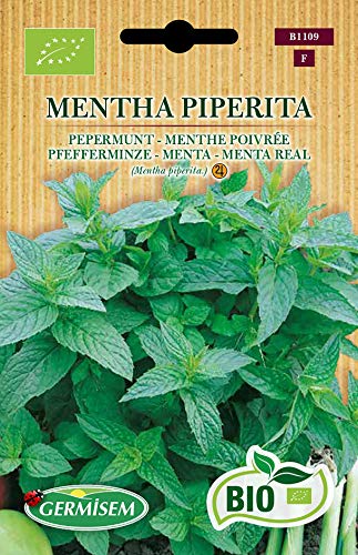 Preisvergleich Produktbild Germisem Pfefferminze MENTHA PIPERITA