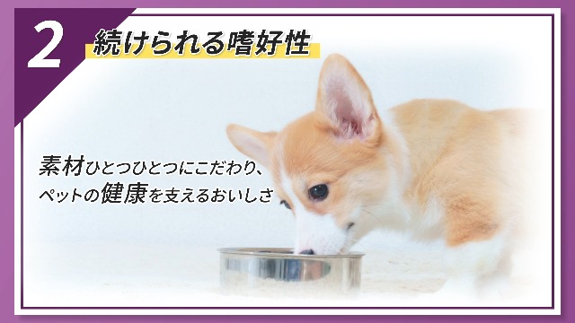 Amazon.co.jp: VetsWell(ベッツウェル) 犬用食事療法食 消化器
