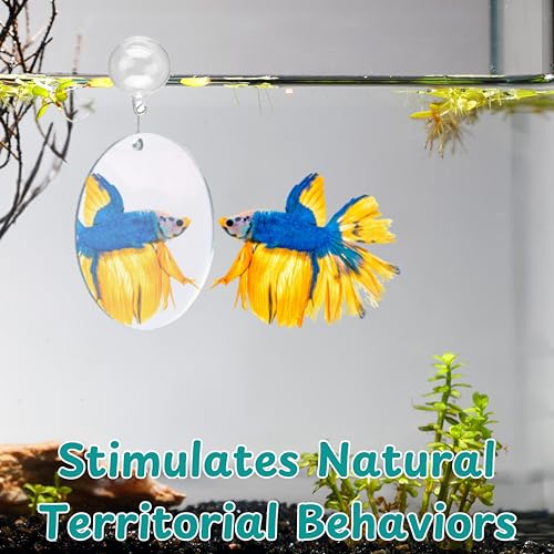 Image of Betta Mirror Enrichment Fish Toys Stimulation, 2 pcs Exercise Feeding Rings And Training Mirror With Floating Ball Toy, Betta Fish Tank Accessories, Small Aquarium Tank Decoration (Orange, M)