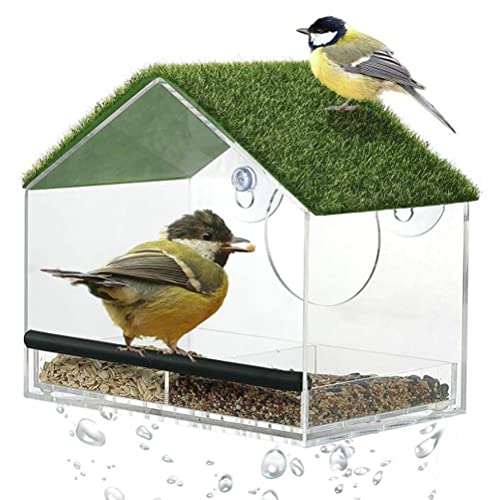 Fenster Futterhaus Vögel Vogelfutterautomat mit Rasensaugnäpfen...