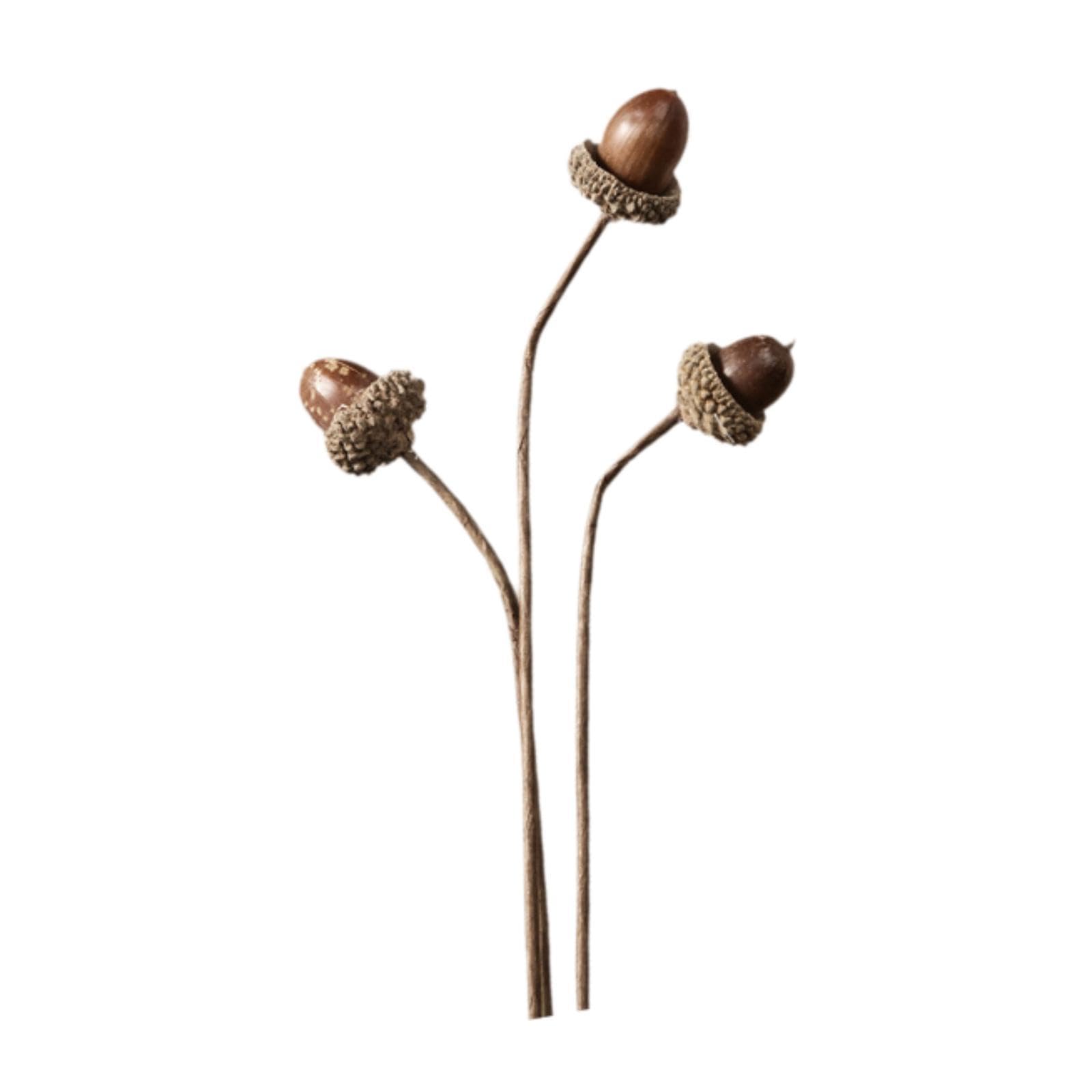 Dried Flower Bouquet for Floral Arrangement for Bedroom Birthday Office Style F-image-30