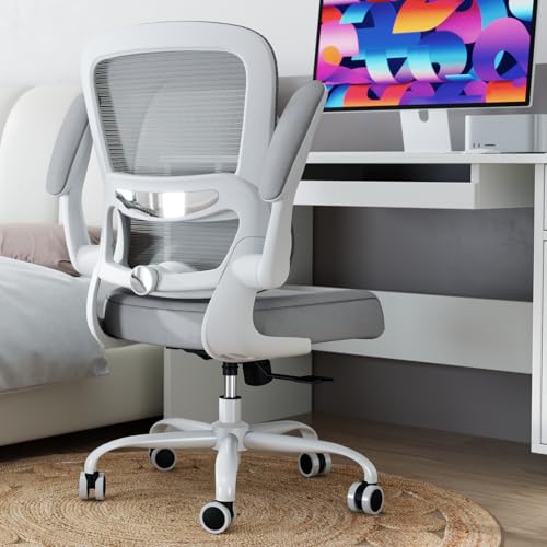 TRALT Ergonomic Mesh Office Chair with Adjustable Lumbar Support Ash Gray