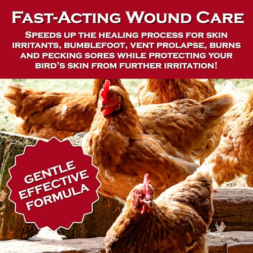 Chicken's Choice Wound Care for Chickens & Birds. Advanced Wound Care Spray for Poultry. Works for Bumblefoot, Vent Prolapse, Pecking Sore, Burns & Skin Irritations. 8 oz Ready to Use Spray - Image 5