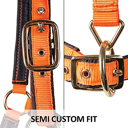 Dura-Tech Deluxe Fully Padded Breakaway Horse Halter | Full Size - Burgundy | 1” Double Ply Nylon Web Overlay | Heavy-Duty Hardware | Semi Custom Fit | 3-Point Cheek Attachment #TOP5