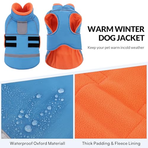 CITÉTOILE Hundejacke mit Klettverschluss – Reflektierend, Führungsöse & wärmender Kragen – Leichtes Wintercoat mit weicher Füllung, Blau, XL