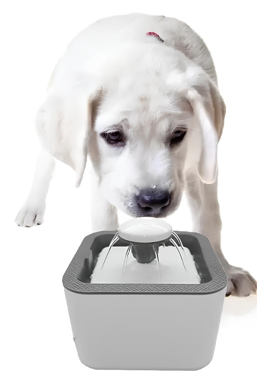 GION 2.5L Automatic Cat Water Fountain Dog Water Dispenser with Foam Filter & 3 Modes for Cats, Dogs // Pet Water Dispenser Fountain for Cats Dogs (1Pcs) (B0D9DF6CBD) Amazon Price History, Amazon Price Tracker