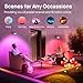 Linkind Smart Solar Spot Lights Outdoor SL5 with Motion Sensor, APP Control Color Changing Solar Halloween Lights Outdoor, IP65 Landscape Lighting for Yard, Garden, Pathway(6 Pack)