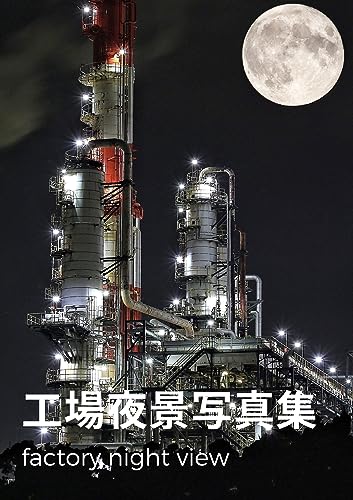 工場夜景(factory night view): factory night view
