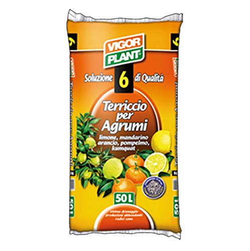 Vigor Plant Terriccio per Agrumi Limone Mandarino Arancio Pompelmo - 45 lt - Terriccio universale per Agrumi