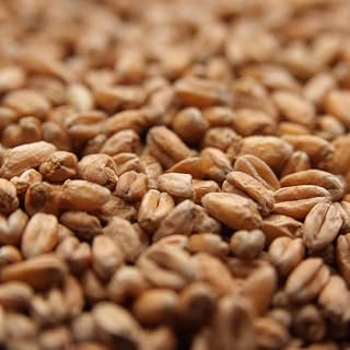 Viking OAK SMOKED WHEAT Malt 1LB Uncrushed