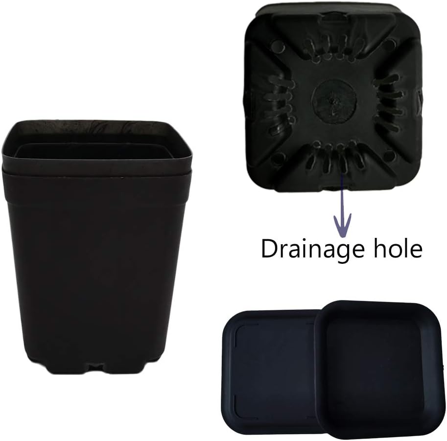 OJYUDD 24 Pack 3 Inch Black Nursery Pot Flower Pots Square Plastic Plant Pot Plastic Starter Pots with Saucer Basket Indoor Outdoor for Your Room,Garden Office and Balcony Decor - Image 3