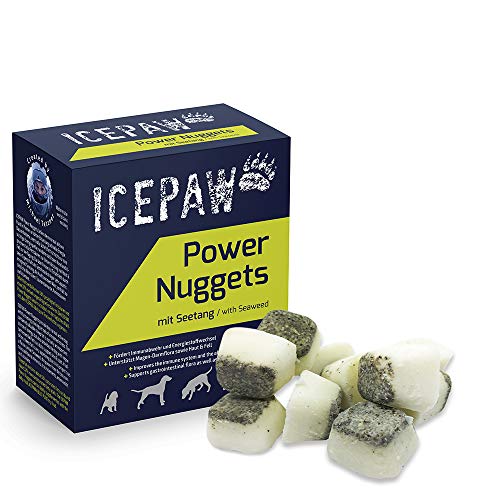 ICEPAW Power Nuggets I für normal aktive Hunde I Energie-Snack für schnelle Energie I mit Schafsfett und Superfood Seetang Alge I 40 Stück (265g)
