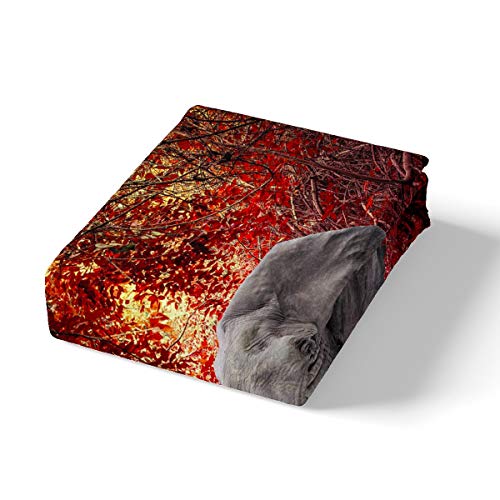 Loussiesd Elephant Bedding Set Maple forest Wooden Scene Duvet Cover Set for Kids Adults Wild Animal Printed Comforter Cover Natural Scenery Quilt Cover Bedroom Collection 3Pcs King(No Comforter) Size - Image 2