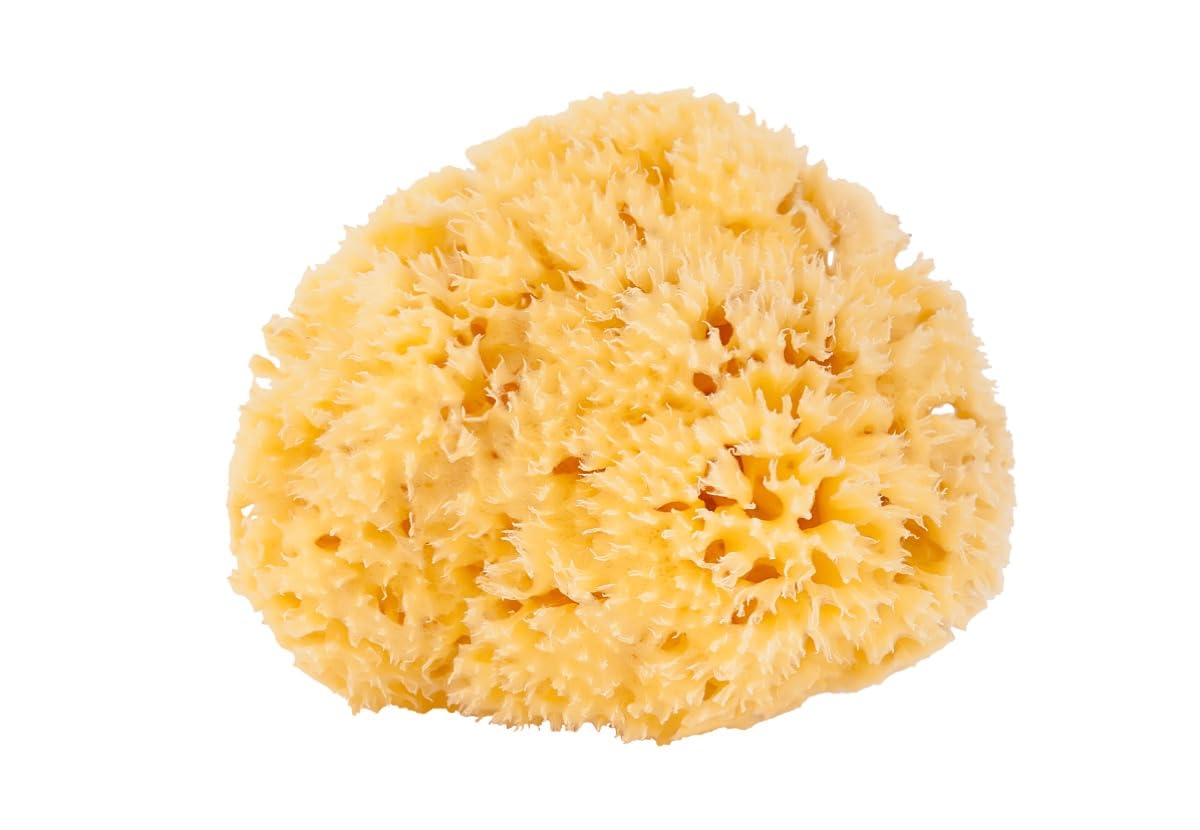 Elvi Grace Natural Sea Sponge Honeycomb Body Bath 5.5in Sensitive Skin Greece