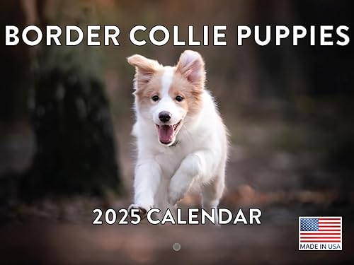 Vista 207 de Calendario Goldendoodle 2026 Golden Doodle mensual de pared calendario de 12 meses Fabricado en Estados Unidos