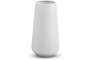Alluring White Ceramic Vase for Home Decor