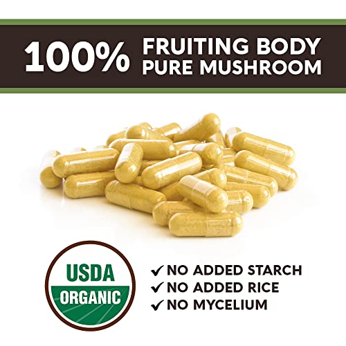 Longevity Botanicals Turkey Tail + Lions Mane + Cordyceps Mushroom Extract Capsules Overall Immunity Bundle #TOP1