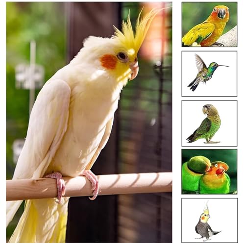 Image of Woohome 7 PCS Natural Wood Bird Perch Stand, 5 Size Bird Parrot Perch Stand Set, Wooden Parrot Perch Stand for Parrotlets Cockatiels Budgies Parakeets