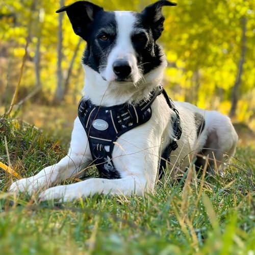 Image of AUROTH Dog Harness for Large Dogs, No Pull Tactical Dog Vest Heavy Duty