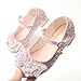GOJERP Girls Dress Shoes Low Heels School Uniform Mary Jane Flower Wedding Party Bridesmaids Princess Dance Shoe for Kid Toddler (Pink, Numeric 11)