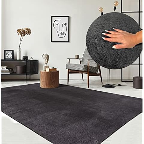the carpet Relax Moderner Flauschiger Kurzflor Teppich Cover