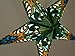Andromeda Star Lamp in Green
