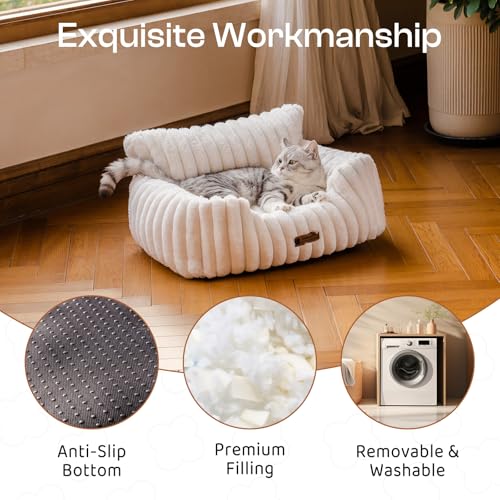 MEWOOFUN Hundesofabett - Katzenbetten für Hauskatzen Weich und Flauschig, Katzensofabett Kleines Hundebett für Hunde und Katzen, Beruhigendes Hundebett (Hafermilch, 61x48x30cm)
