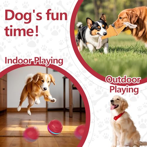 Diealles Shine Interaktives Hundespielzeug, Hundespielzeug Ball Mit 2 Modi, Spielzeug Für Hunde Gegen Langeweile, Hundeball Elektrisch USB Aufladbar, Selbstrollender Ball Für Kleine Hunde