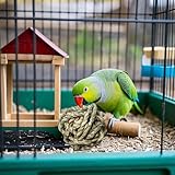 Generisch Hamster-Kauspielzeug für Kaninchen, Kleintiere, langlebiges Holz, zum Nagen und Zähneknirschen, natürliches Heimtierzubehör für den Innen- und Außenbereich (Light Green, 6.5cm)