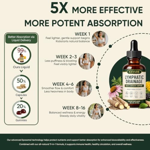 Lymphatic Drainage Drops, 4-Herb Liquid Lymphatic Drainage Supplement with Cleavers, Red Clover, Stillingia Root & Prickly Ash Bark, Supports Lymphatic Drainage, Immune System & Detox, Vegan (2) - 4
