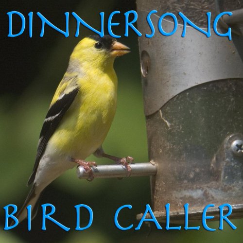 Dinnersong Bird CallsCall Birds to Your New Bird Feeder by Playing