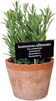 Artificial Herb Plant, Rosemary, Large