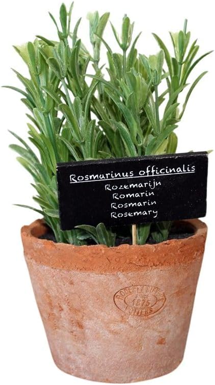 Artificial Herb Plant, Rosemary, Large