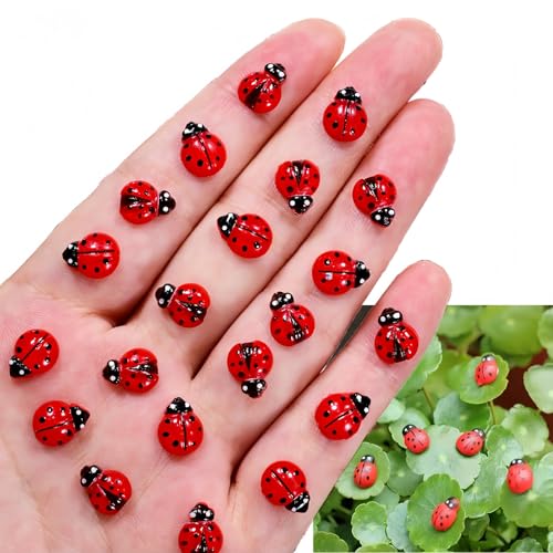 Xunzhi 100 mini coccinelle decorative in resina, mini animali in resina, coccinelle M-ini, coccinelle in resina per giardino delle fate e casa delle bambole, micro decorazioni paesaggistiche Xunzhi 100 mini coccinelle decorative in resina, mini animali in resina, coccinelle M-ini, coccinelle in resina per giardino delle fate e casa delle bambole, micro decorazioni paesaggistiche