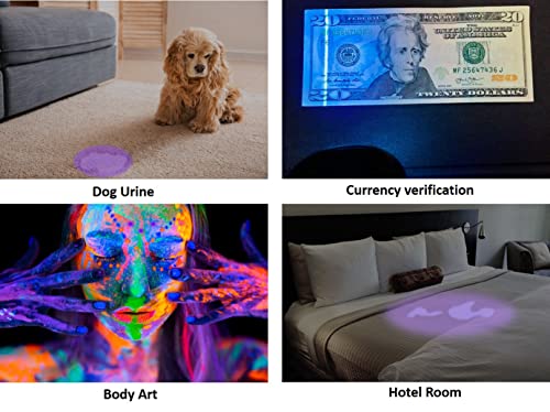 Image of Black Light UV Flashlight 51 LED Pet Urine Stains Odor Detector, Batteries Included