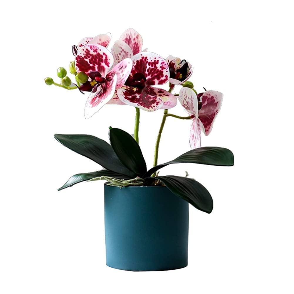 XDLEDMKIZ Realistic Artificial Flower Artificial Flower Set, Artificial Orchid and Flower Pot Set, Used for Home/Bedroom/Living Room/Dining Room Decoration Bouquet Silk F