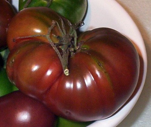 Black Russian Tomato 30 Seeds - Heirloom