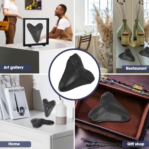 Image of Megalodon Tooth, Black Shark Tooth,Megalodon Fossil with Serrations Sawtooth, Megalodon Tooth Fossil Replica for, Collectors, Teachers, Children and Fossil Lovers, 5.5 Inch Giant Shark Teeth(Replica)