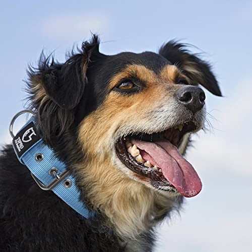 TSPRO Taktisches Hundehalsband, Robustes Halsband für Hunde mit Metallschnallenverschluss, 3,8 cm Breit, Verstellbar und Dick für Mittel bis Großgroße Hunde (Blau M)